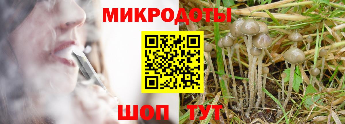A-PVP Всеволожск