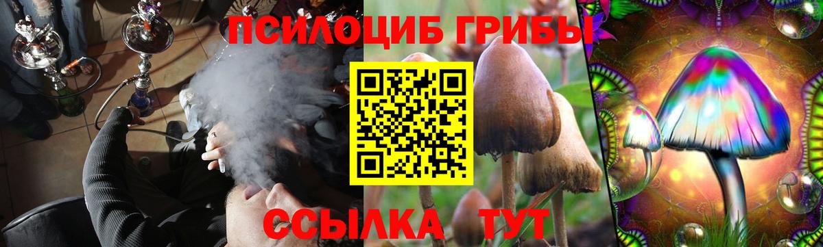 Всеволожск  Галлюциногенные грибы ЛСД  как найти   Вход с VPN 